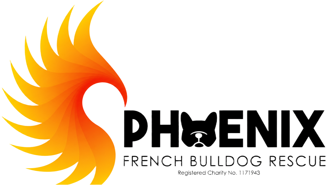 Phoenix French Bulldog Rescue
